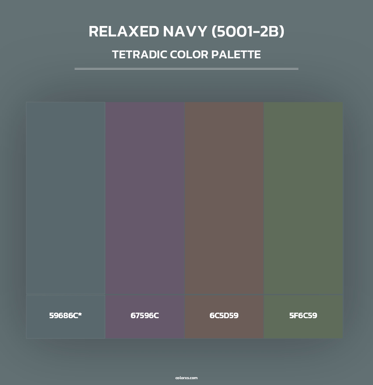 Relaxed Navy (5001-2B) - Tetradic Color Palette