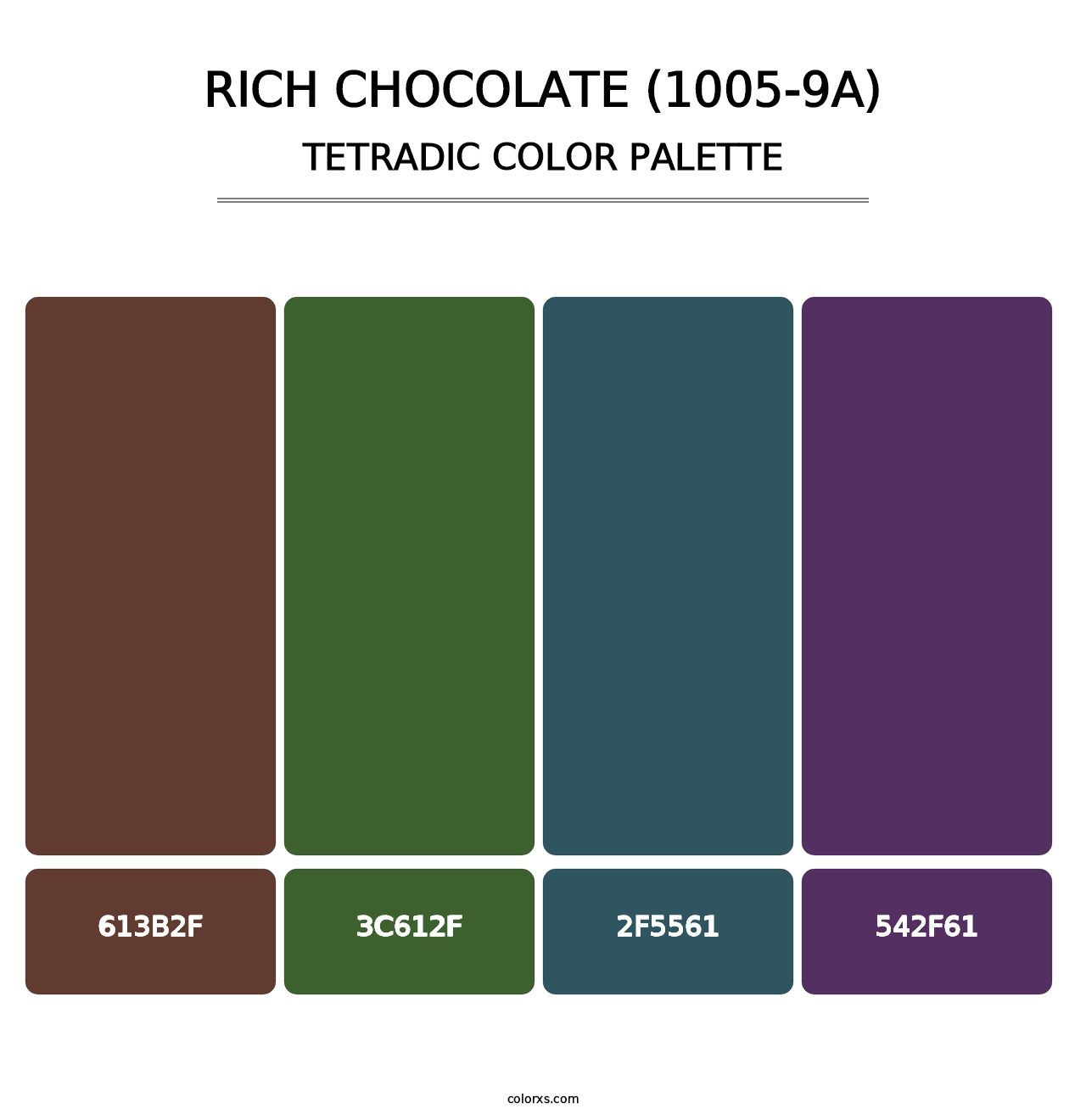 Rich Chocolate (1005-9A) - Tetradic Color Palette