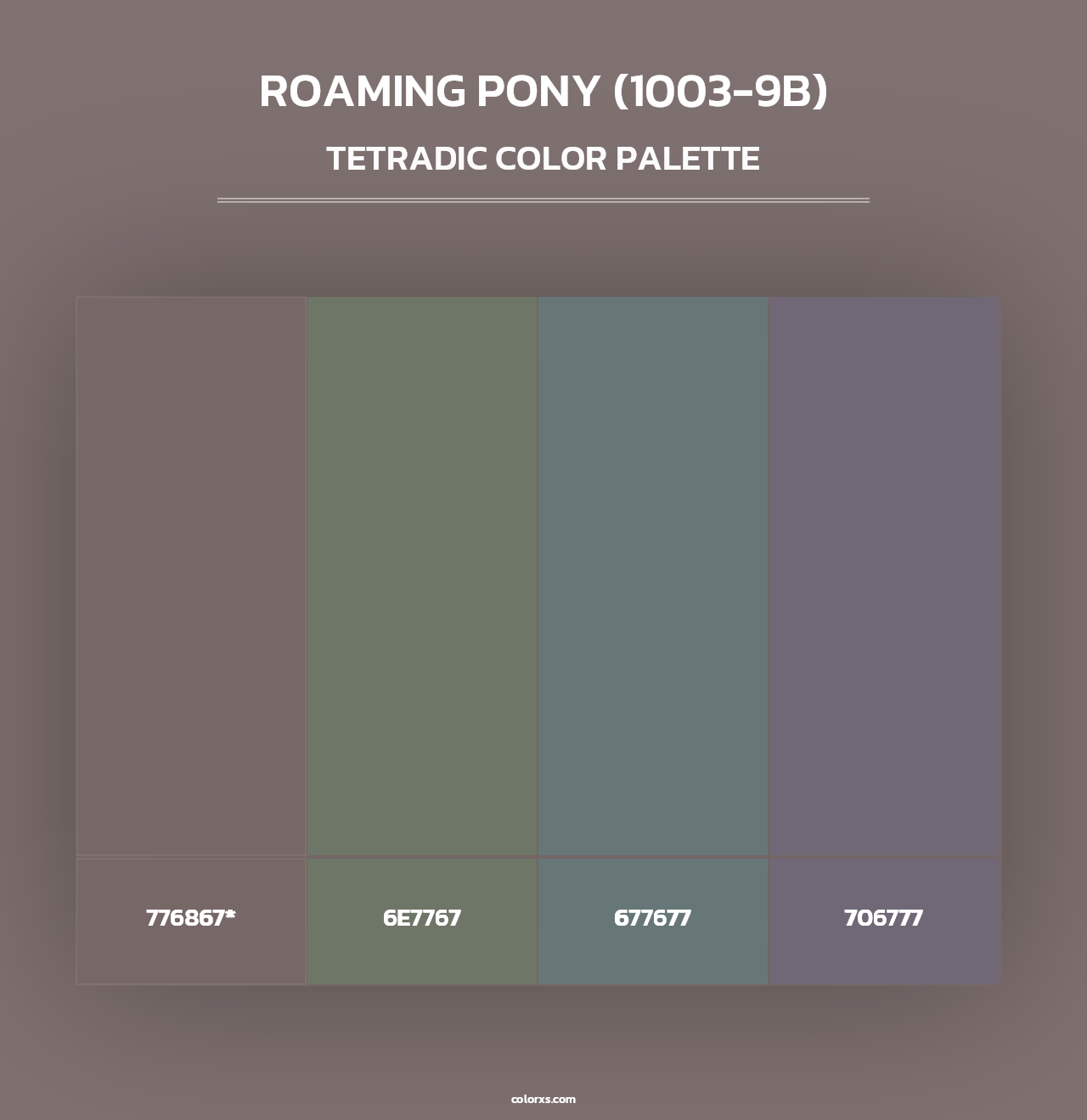 Roaming Pony (1003-9B) - Tetradic Color Palette