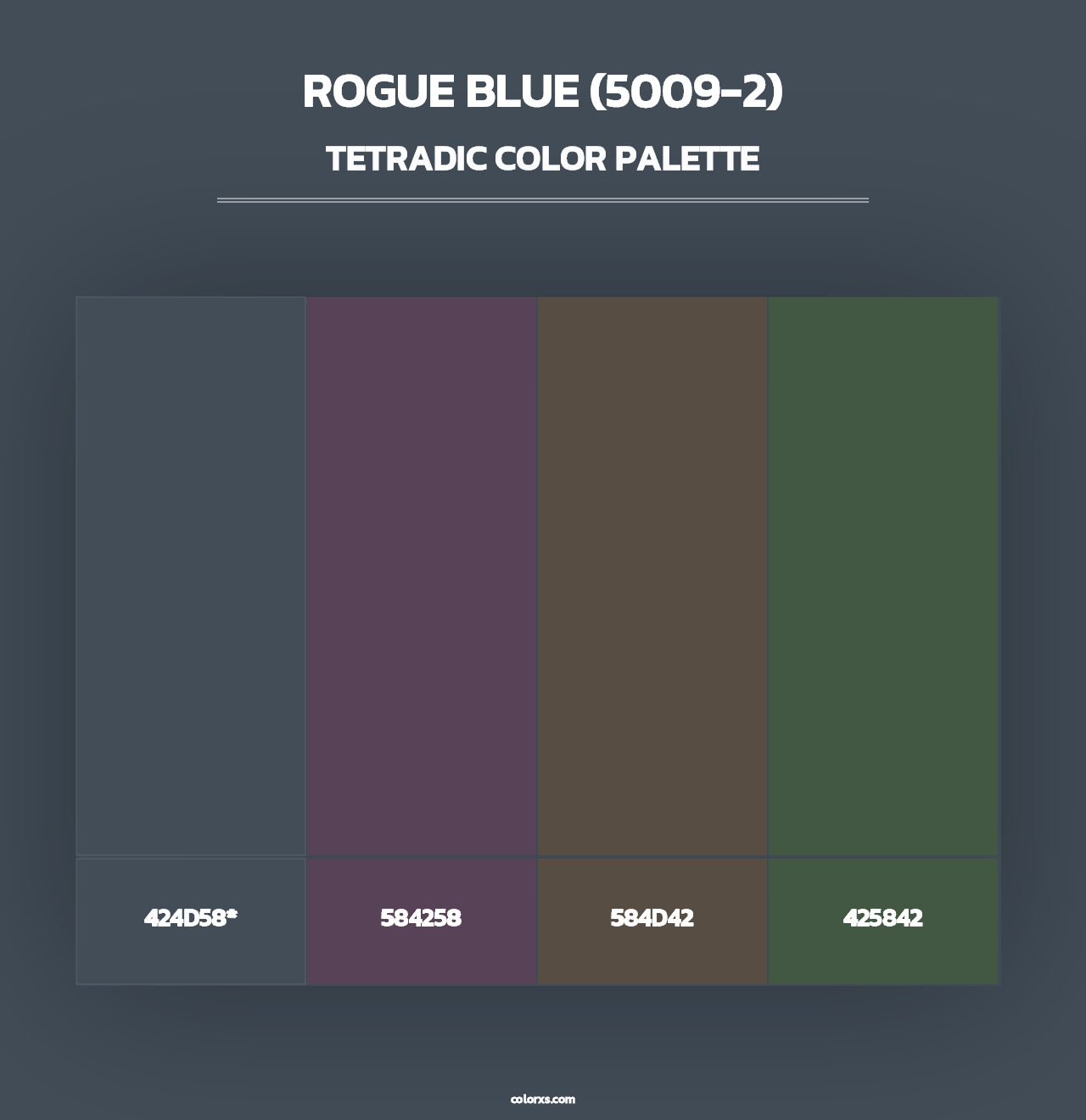 Rogue Blue (5009-2) - Tetradic Color Palette