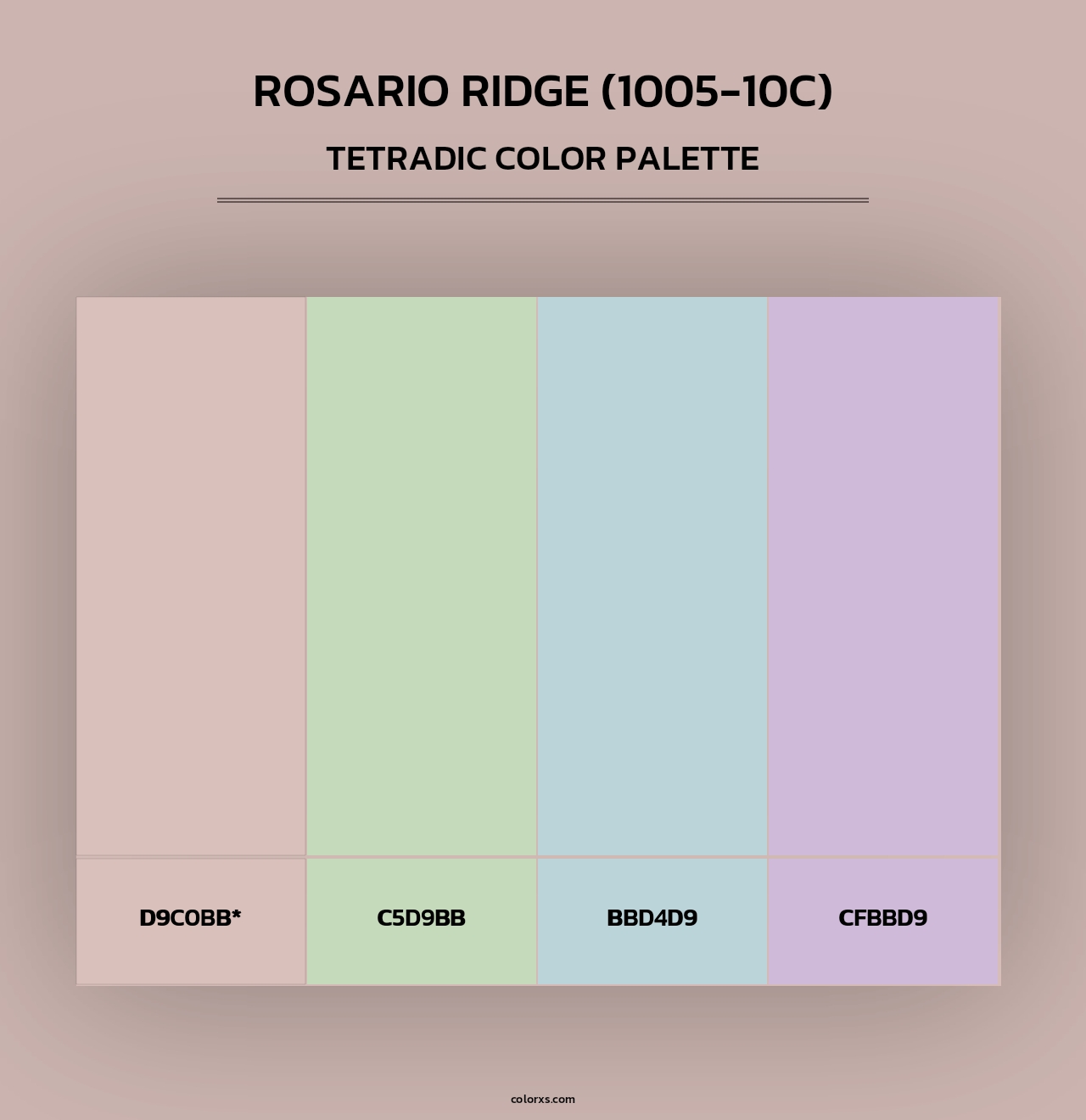 Rosario Ridge (1005-10C) - Tetradic Color Palette