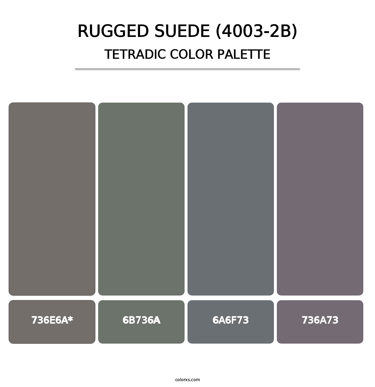 Rugged Suede (4003-2B) - Tetradic Color Palette