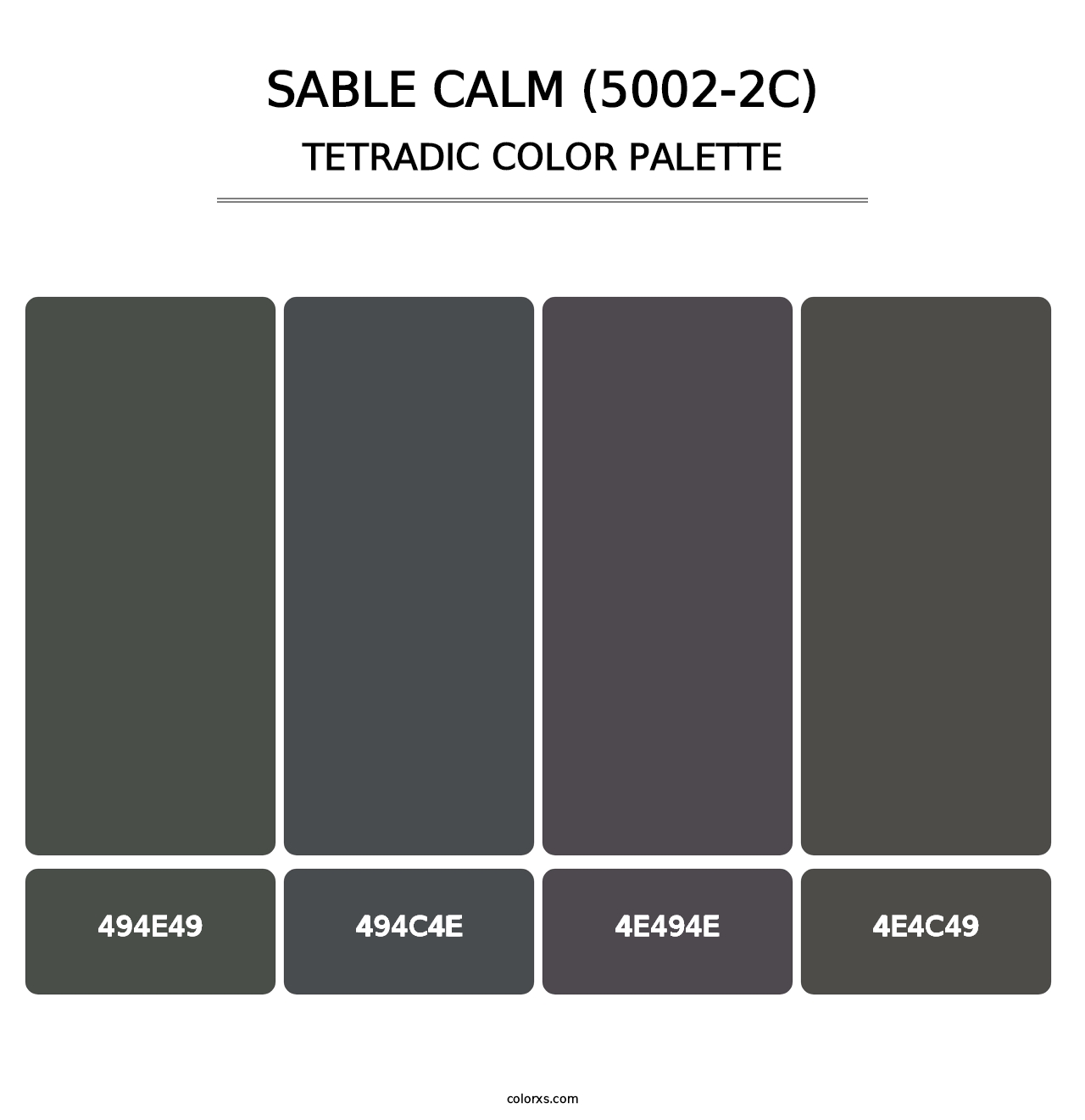Sable Calm (5002-2C) - Tetradic Color Palette