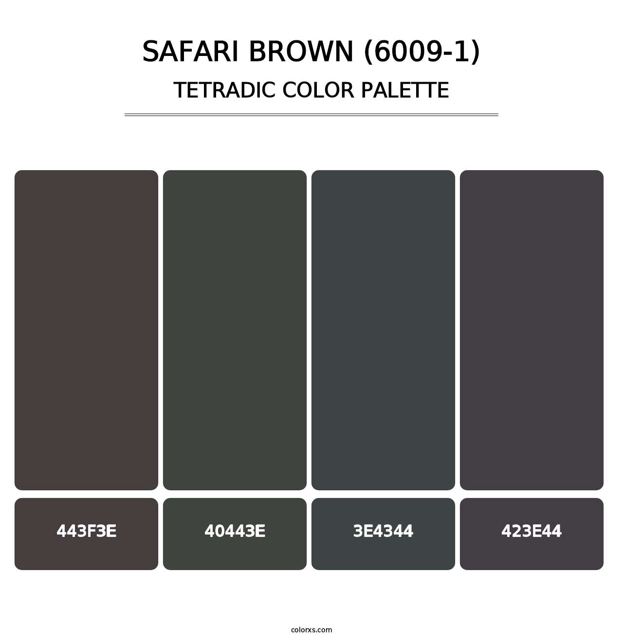 Safari Brown (6009-1) - Tetradic Color Palette