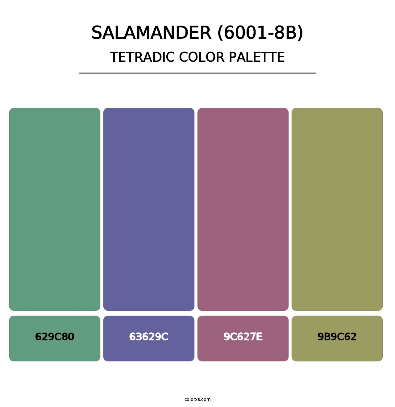 Salamander (6001-8B) - Tetradic Color Palette