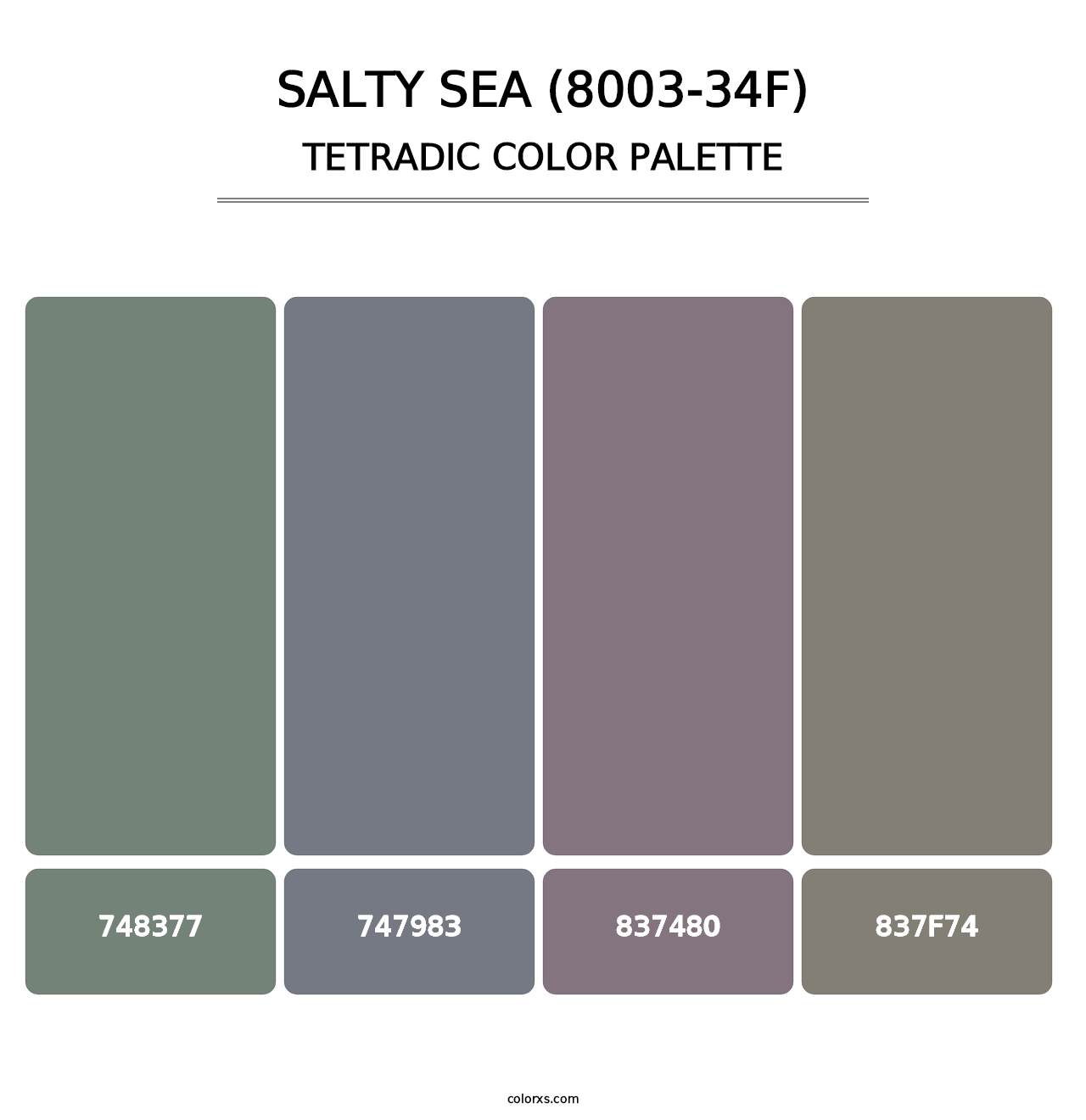 Salty Sea (8003-34F) - Tetradic Color Palette