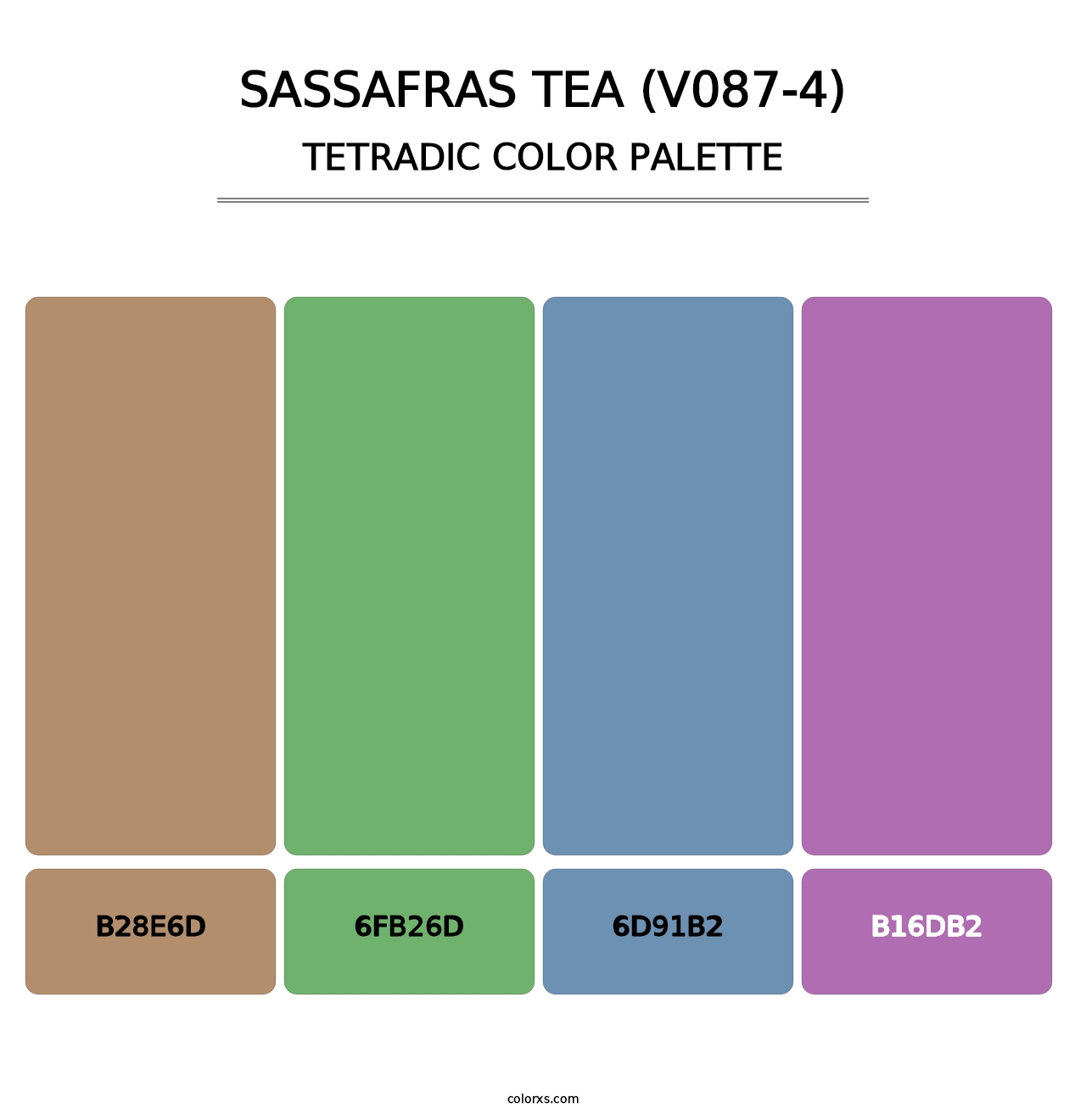 Sassafras Tea (V087-4) - Tetradic Color Palette