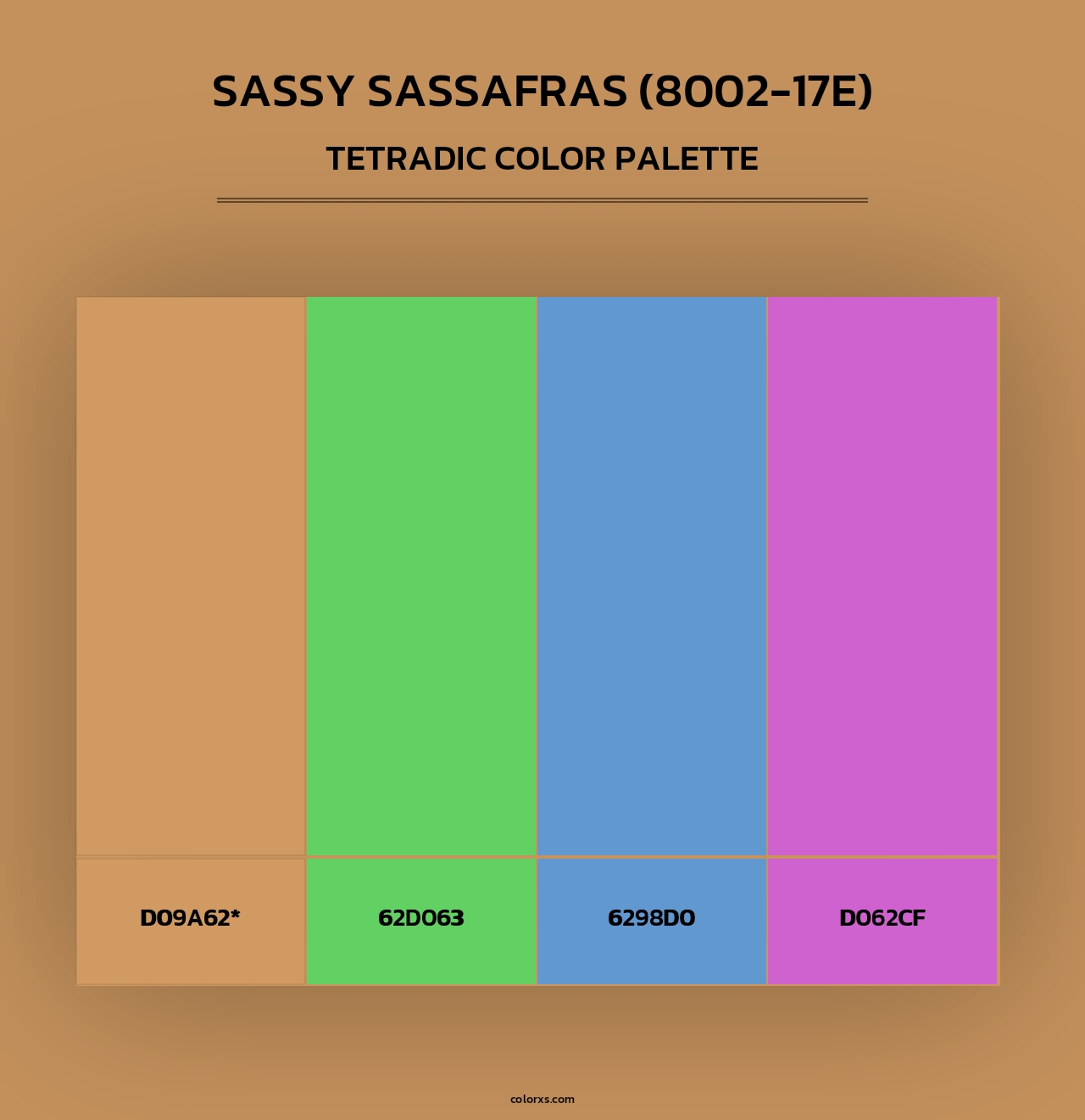 Sassy Sassafras (8002-17E) - Tetradic Color Palette