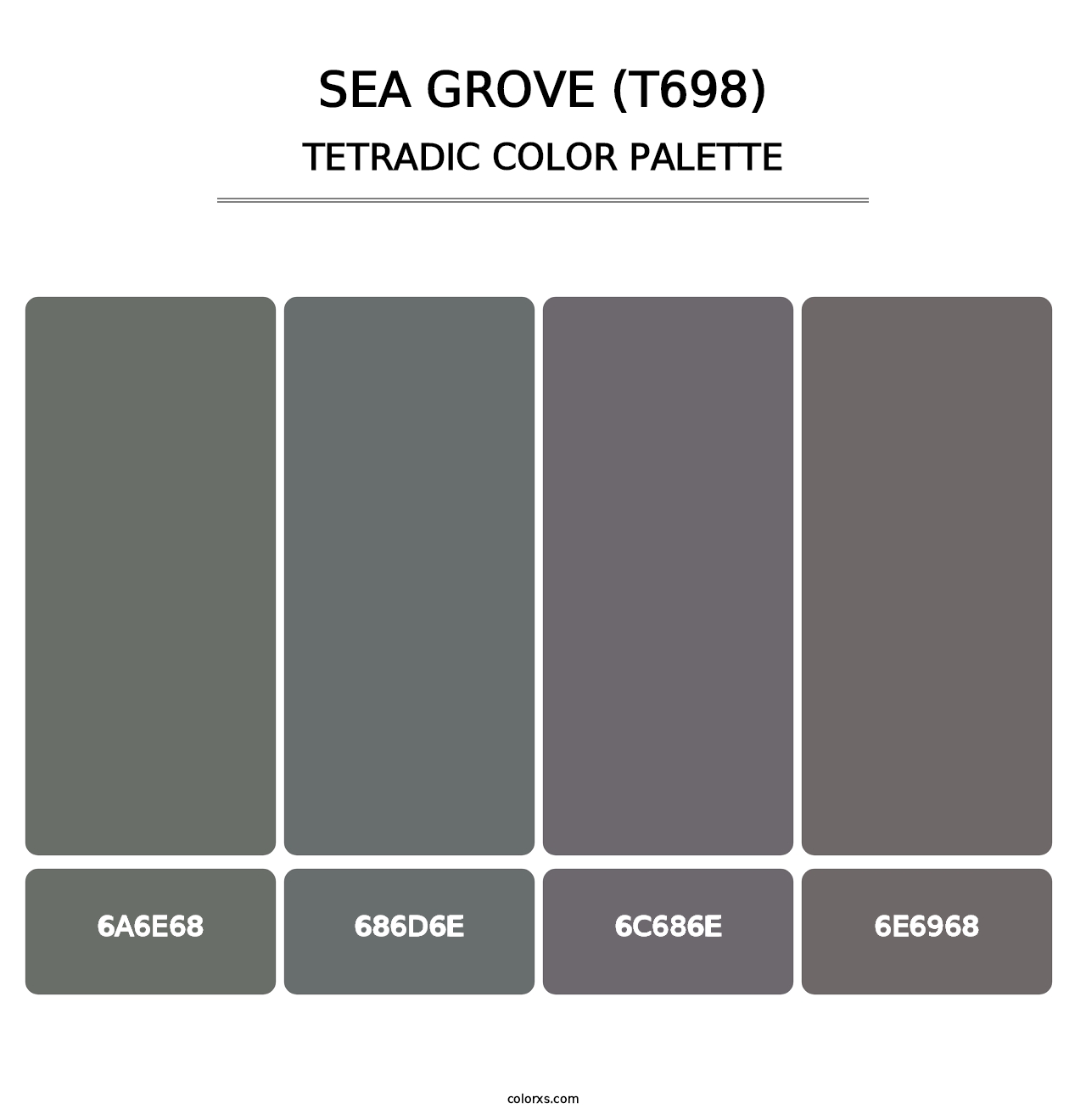 Sea Grove (T698) - Tetradic Color Palette