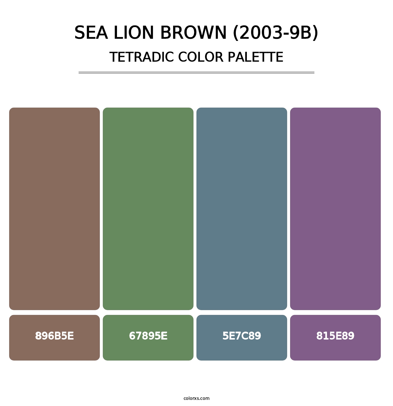 Sea Lion Brown (2003-9B) - Tetradic Color Palette