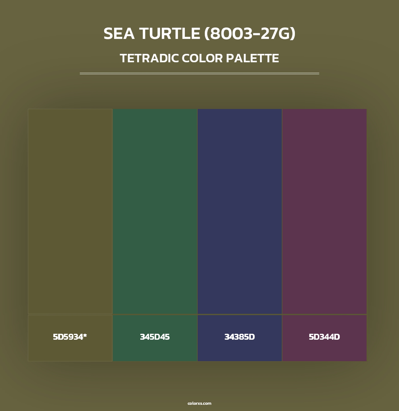 Sea Turtle (8003-27G) - Tetradic Color Palette