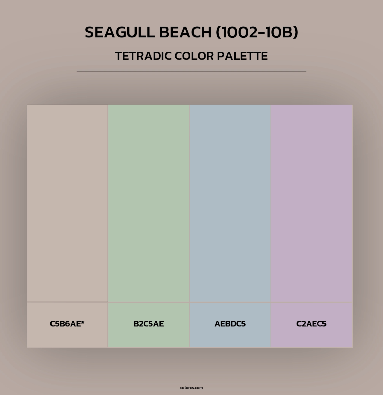Seagull Beach (1002-10B) - Tetradic Color Palette