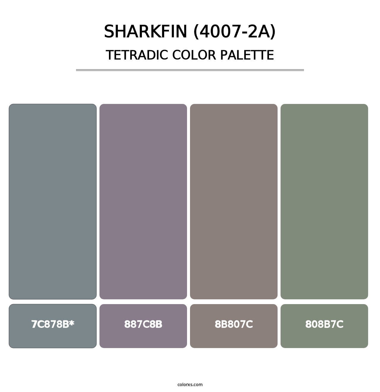 Sharkfin (4007-2A) - Tetradic Color Palette