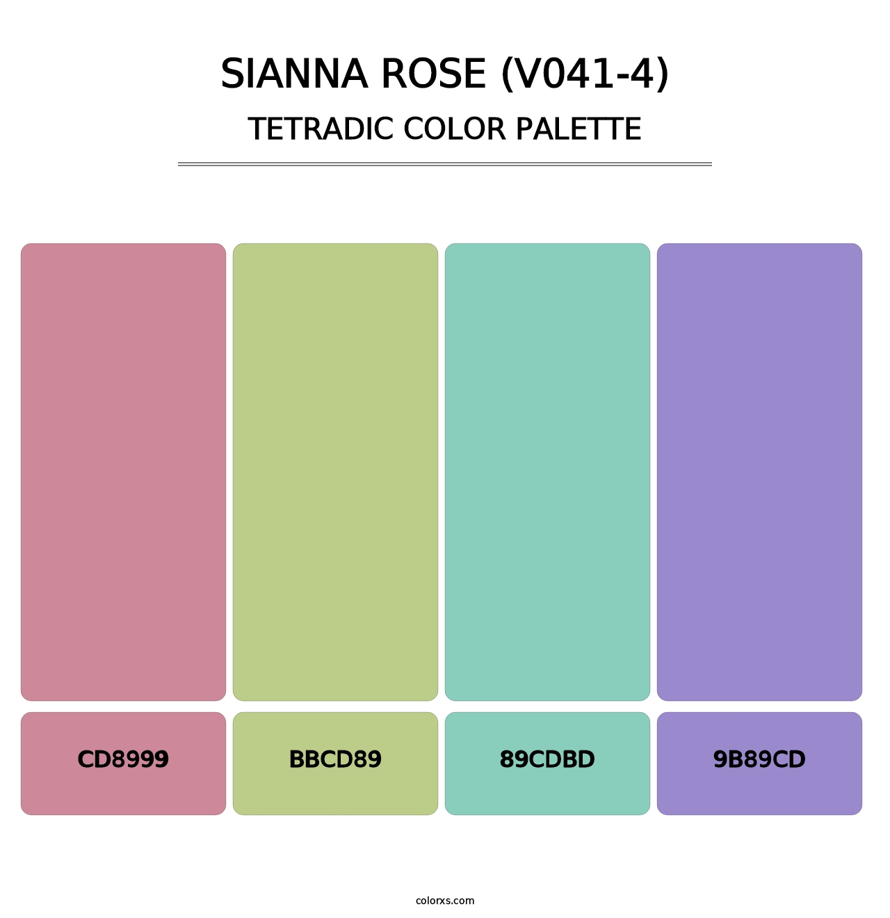 Sianna Rose (V041-4) - Tetradic Color Palette
