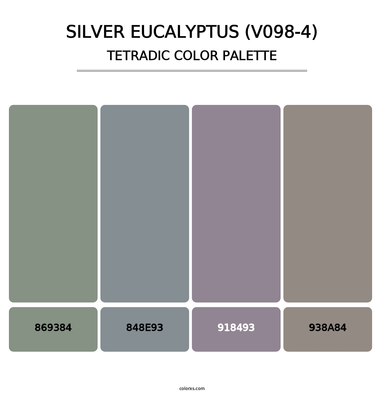 Silver Eucalyptus (V098-4) - Tetradic Color Palette