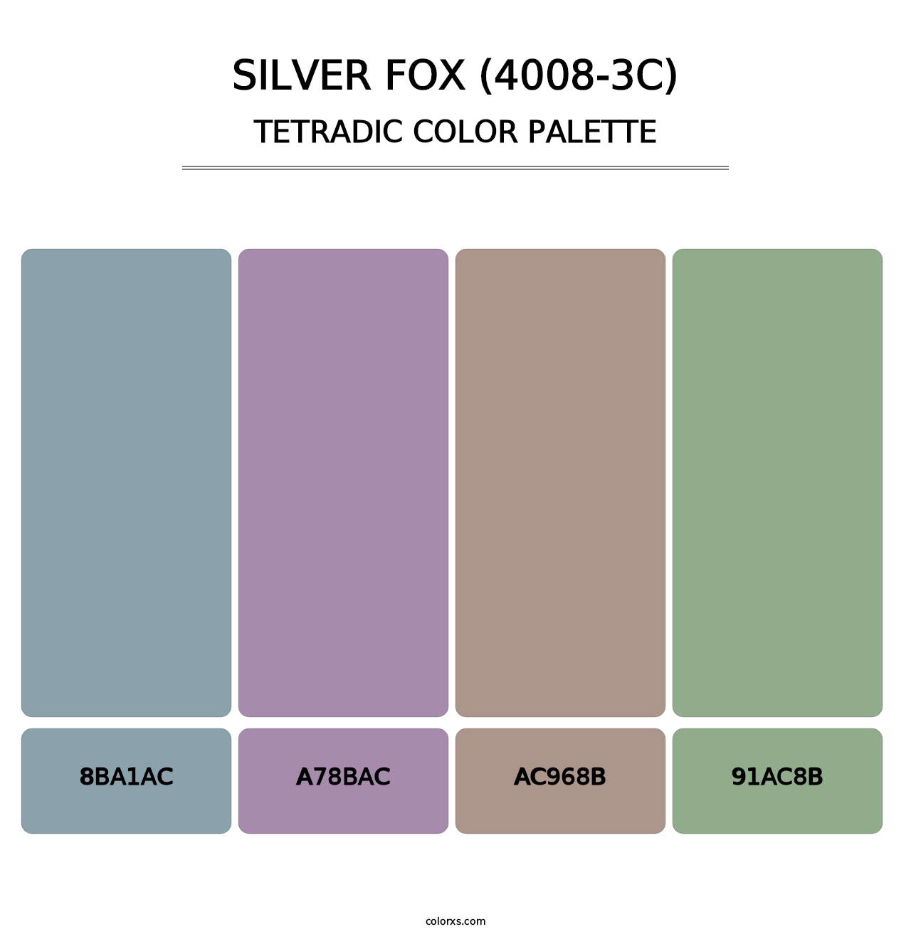 Silver Fox (4008-3C) - Tetradic Color Palette