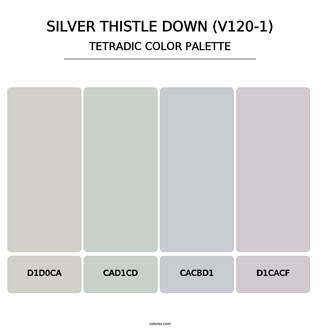 Silver Thistle Down (V120-1) - Tetradic Color Palette