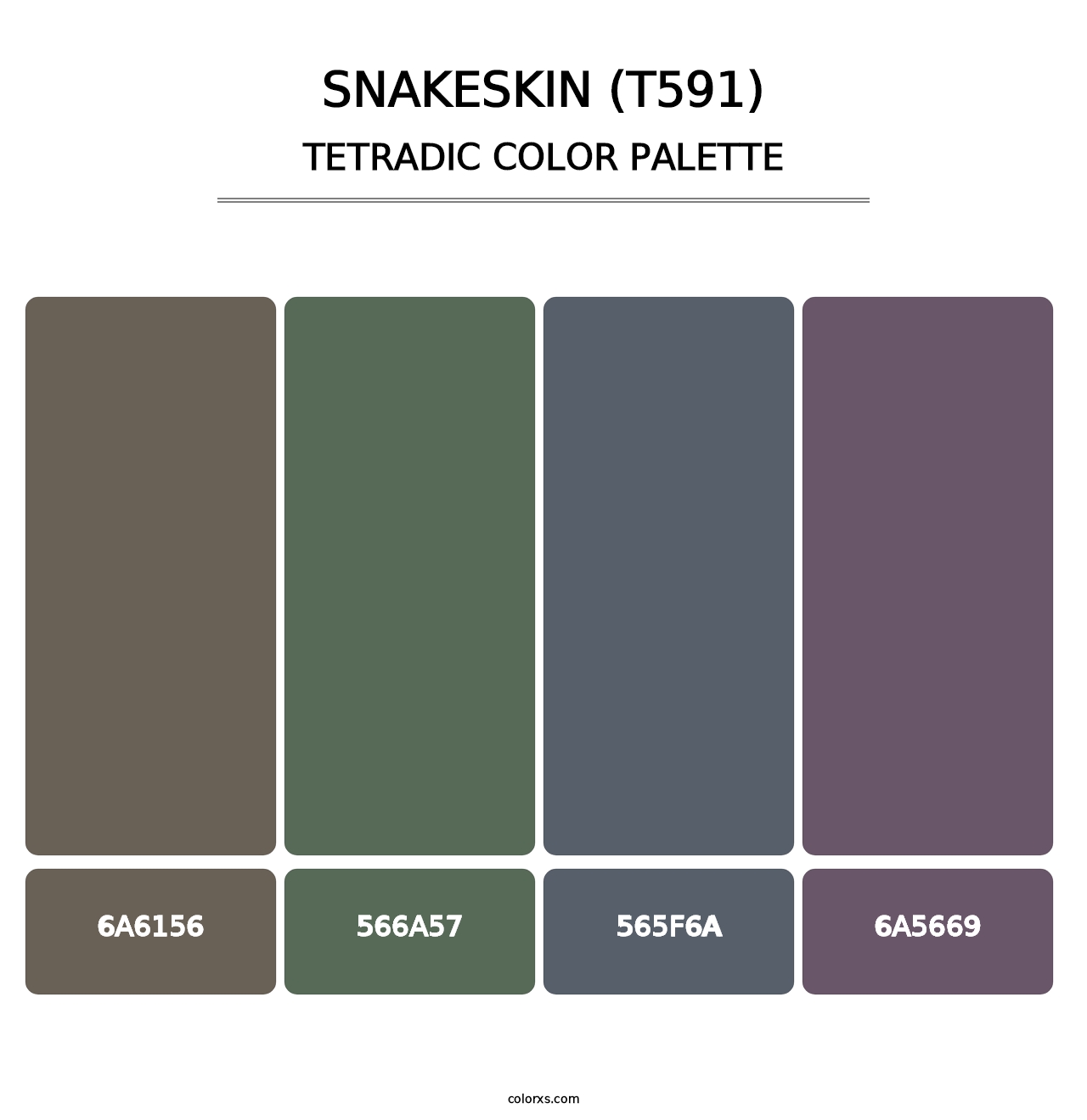 Snakeskin (T591) - Tetradic Color Palette