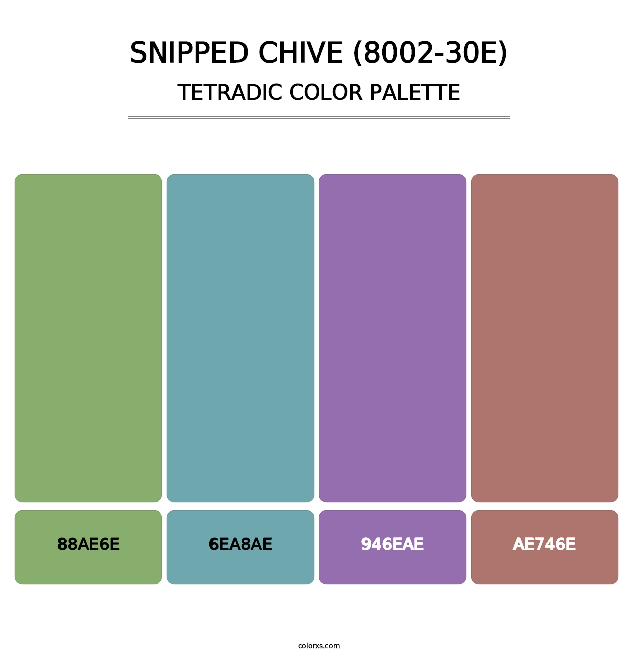 Snipped Chive (8002-30E) - Tetradic Color Palette