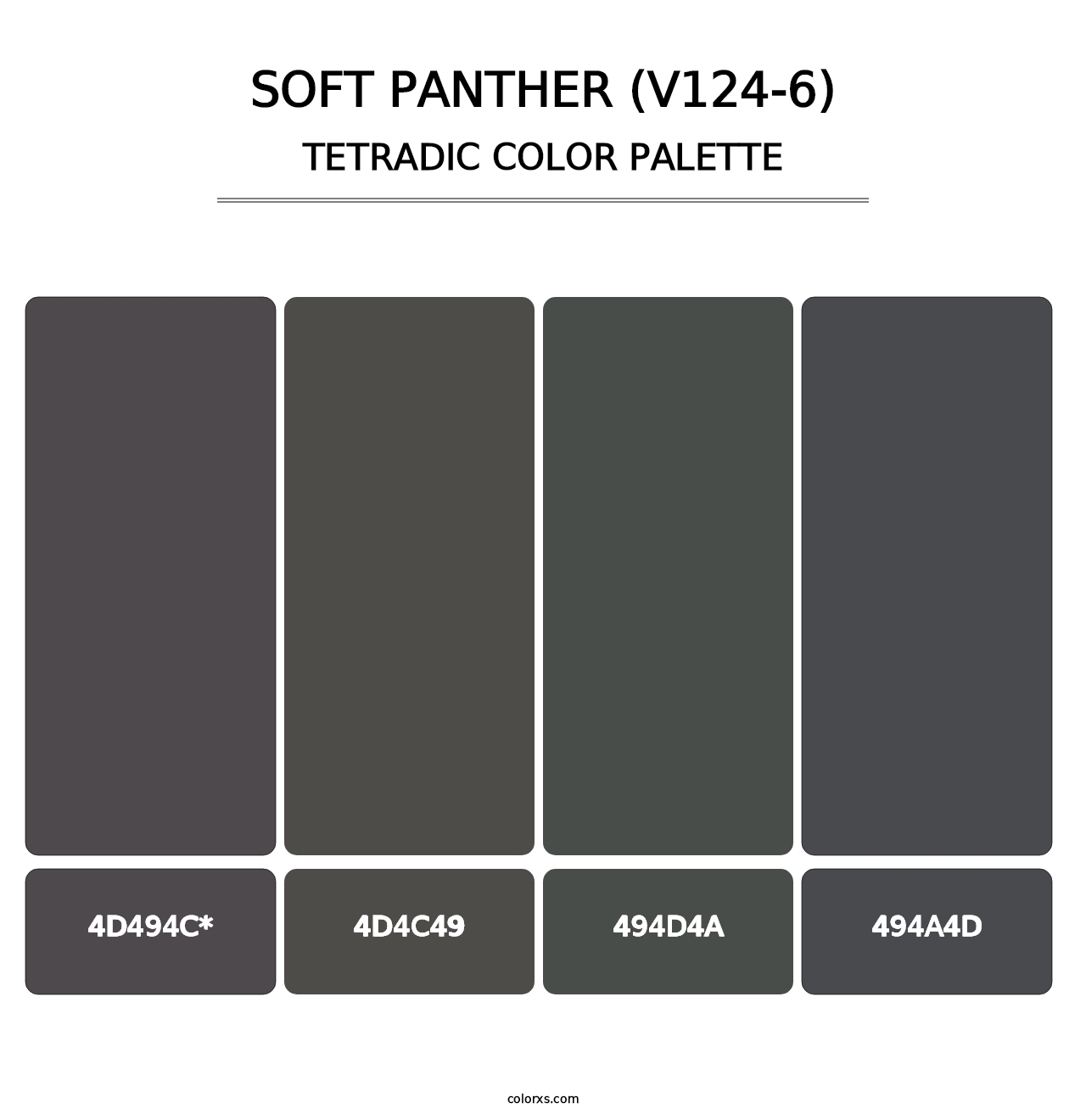 Soft Panther (V124-6) - Tetradic Color Palette
