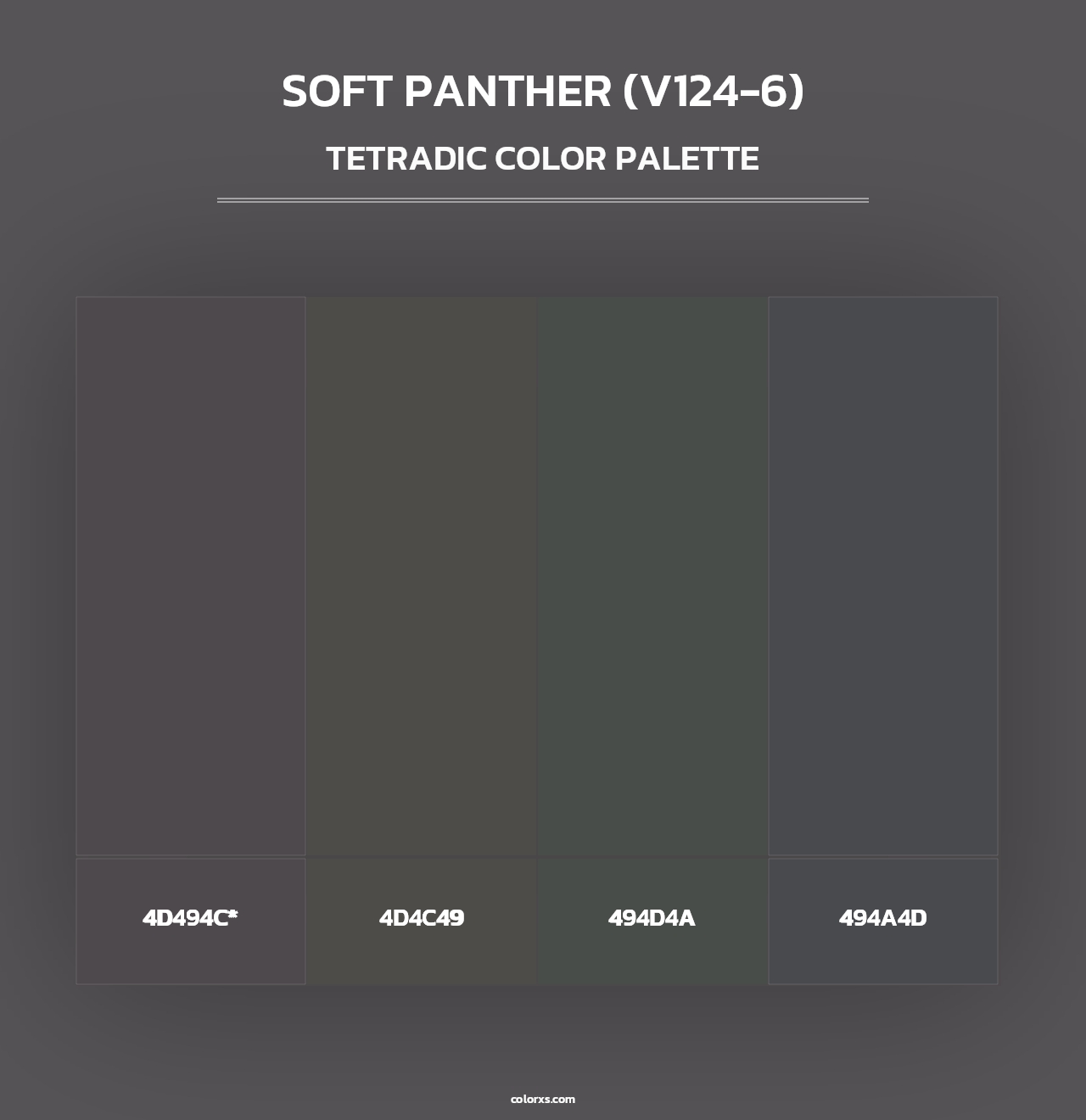Soft Panther (V124-6) - Tetradic Color Palette