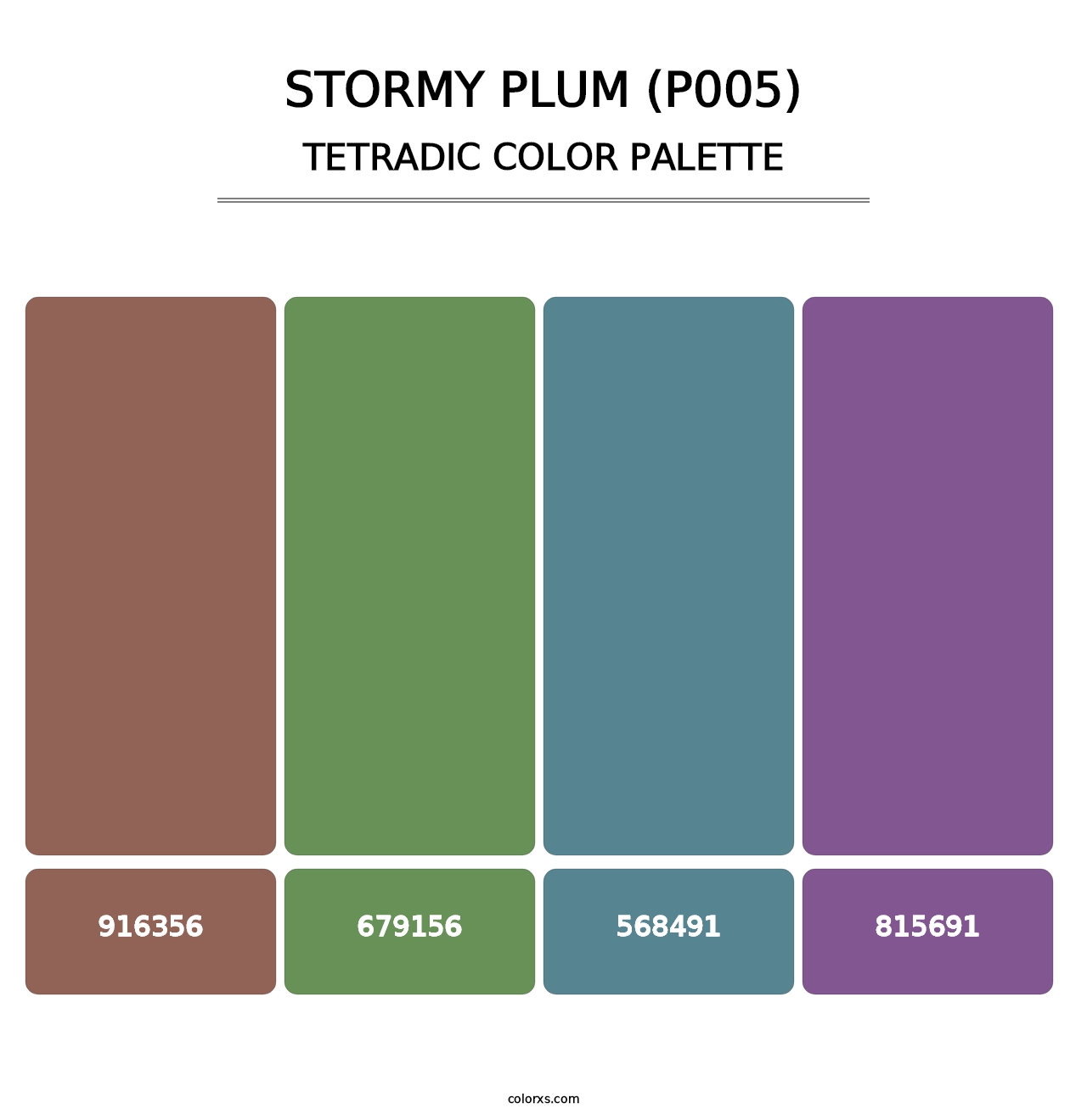 Stormy Plum (P005) - Tetradic Color Palette