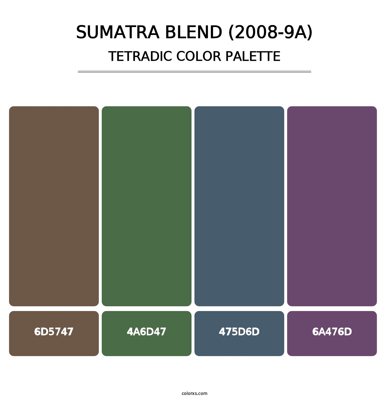 Sumatra Blend (2008-9A) - Tetradic Color Palette