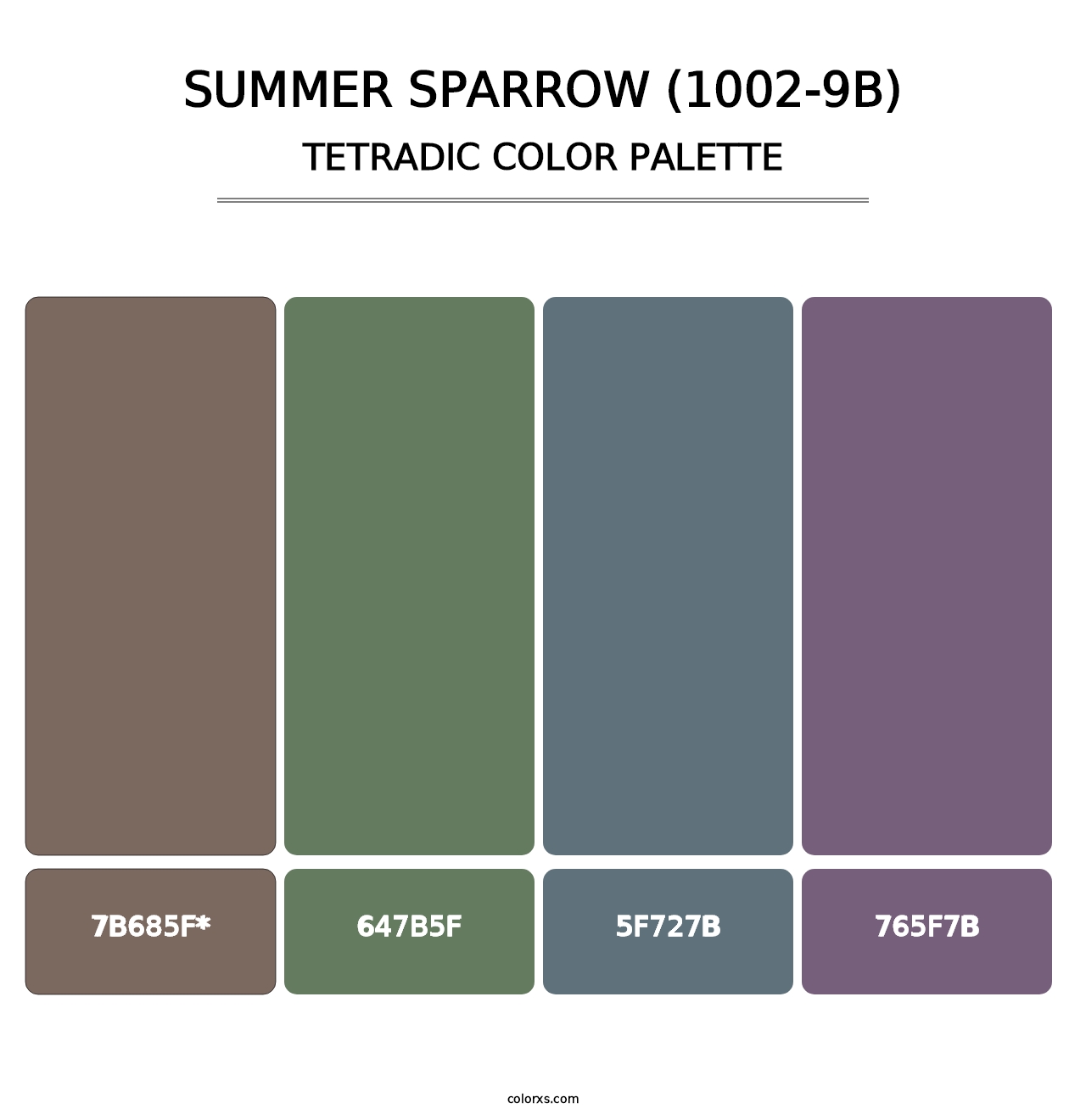 Summer Sparrow (1002-9B) - Tetradic Color Palette