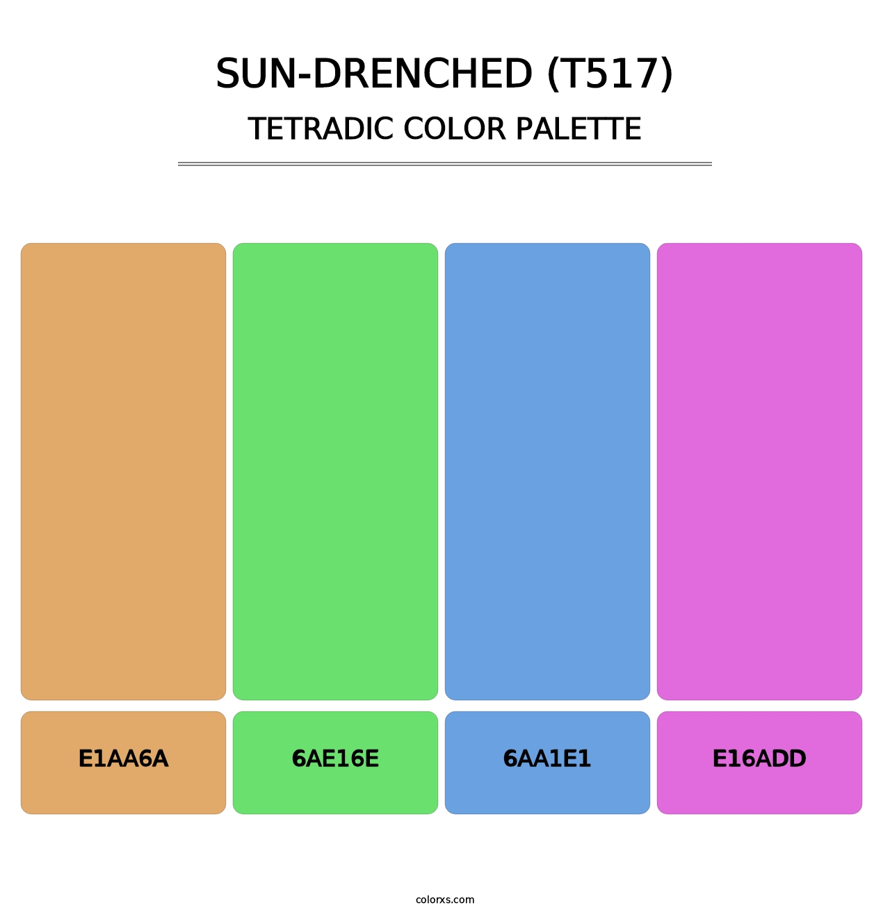 Sun-Drenched (T517) - Tetradic Color Palette