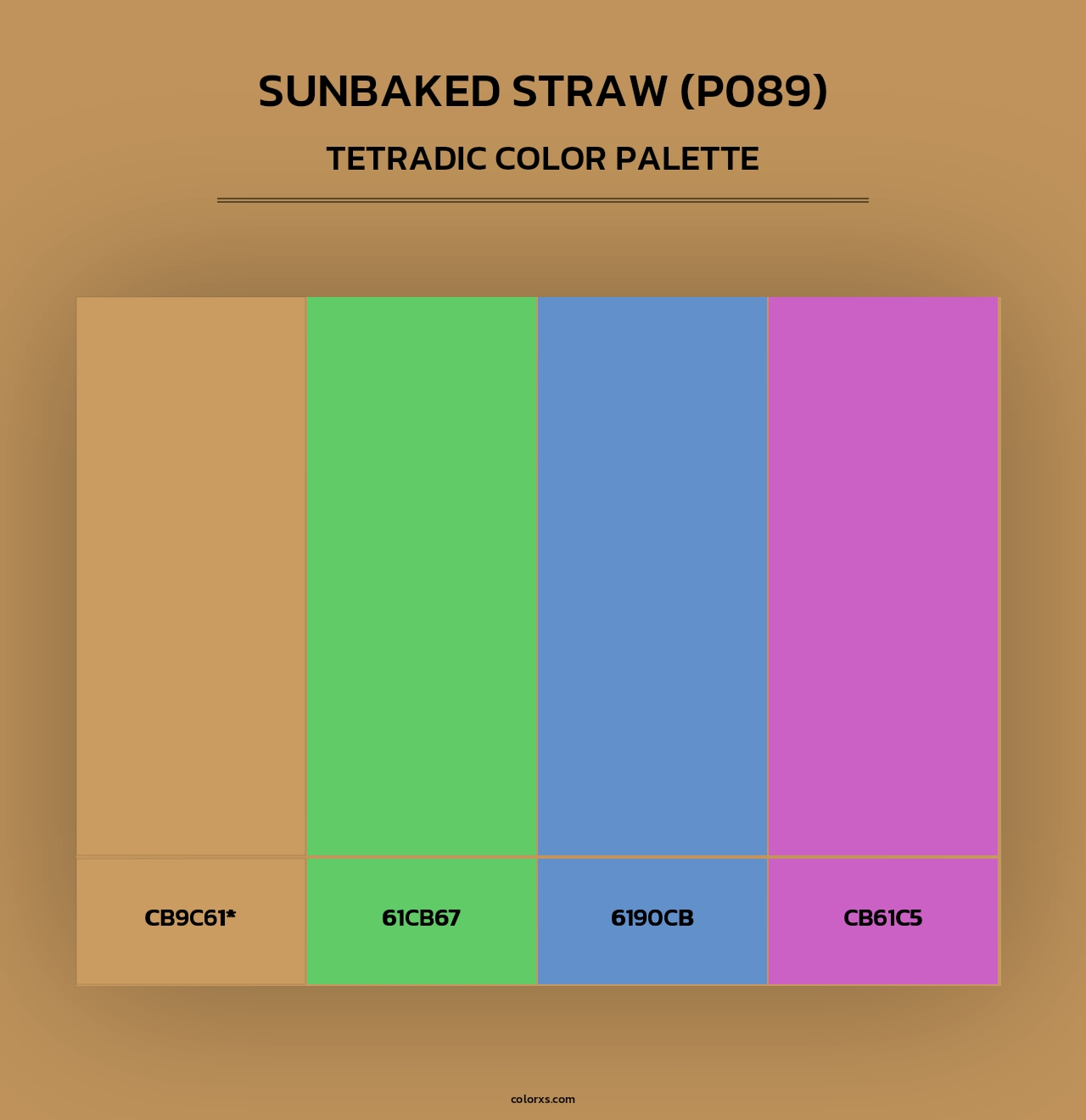 Sunbaked Straw (P089) - Tetradic Color Palette