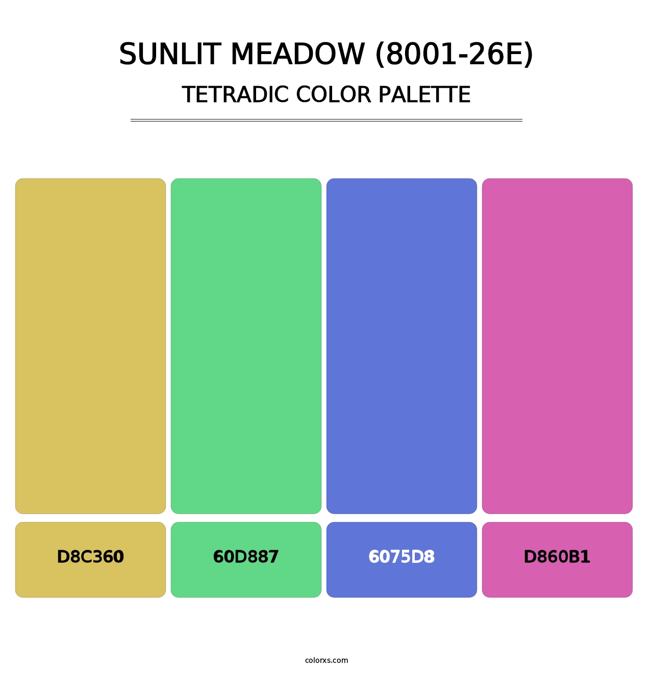 Sunlit Meadow (8001-26E) - Tetradic Color Palette