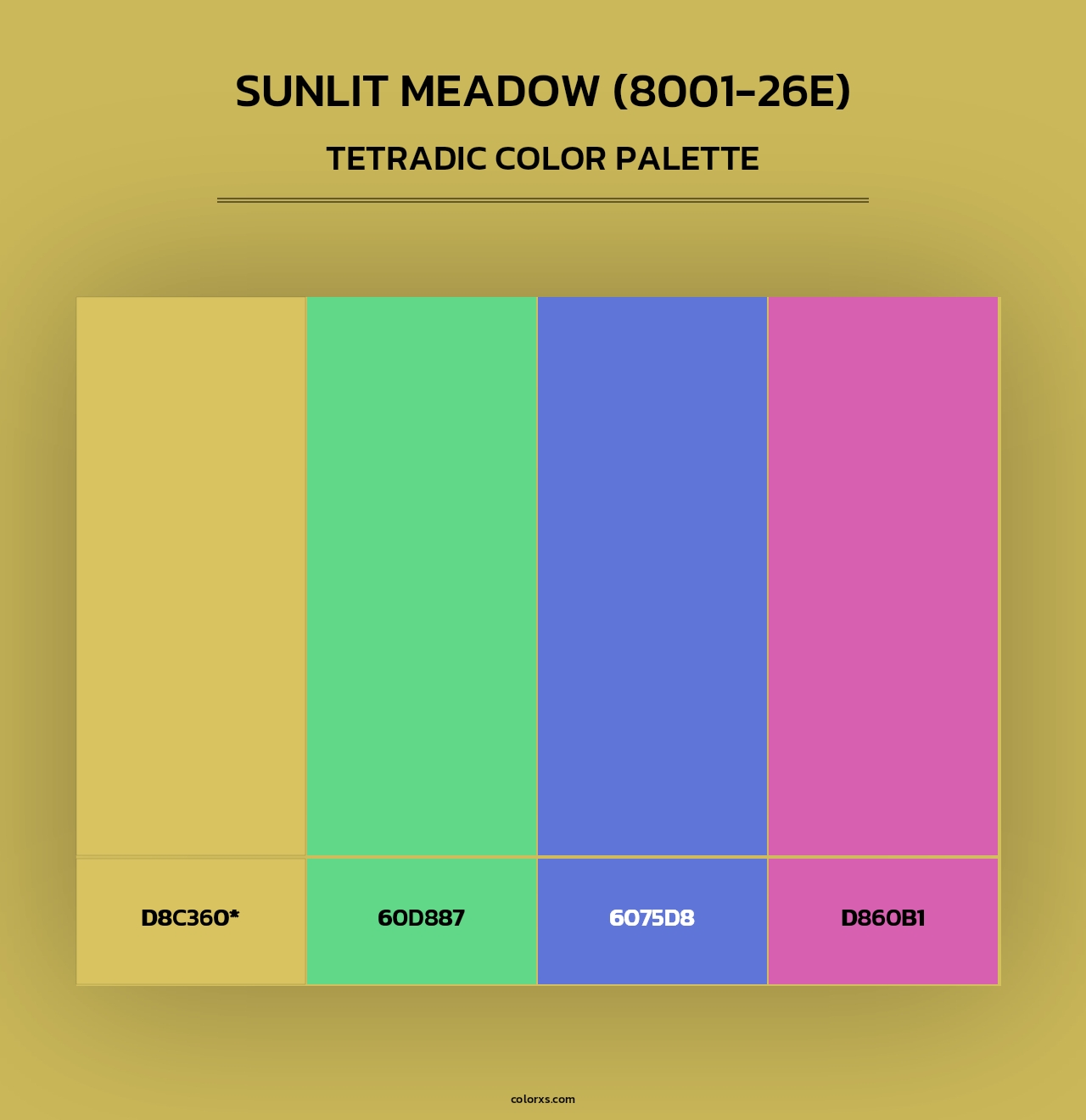 Sunlit Meadow (8001-26E) - Tetradic Color Palette