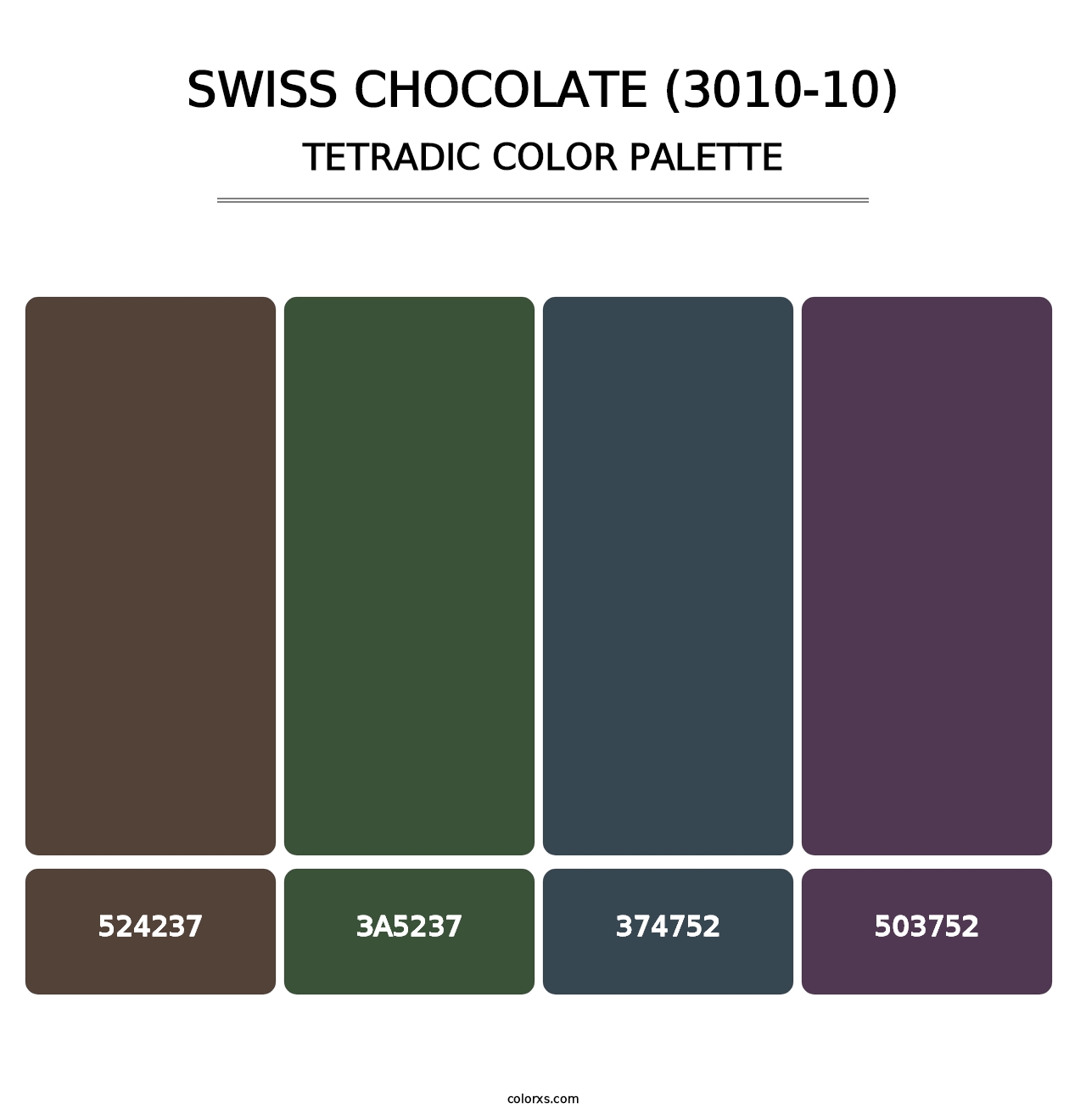 Swiss Chocolate (3010-10) - Tetradic Color Palette