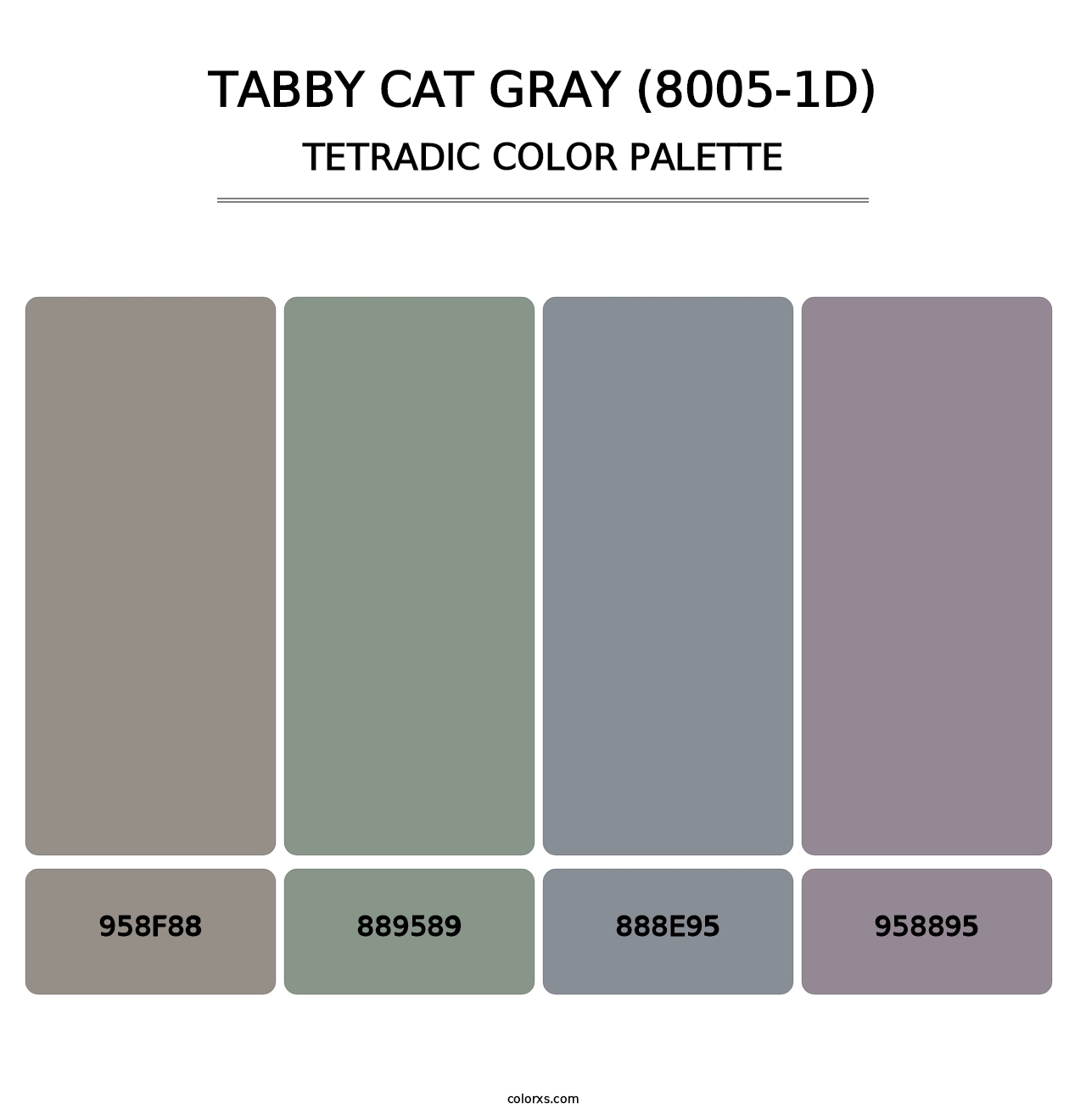Tabby Cat Gray (8005-1D) - Tetradic Color Palette