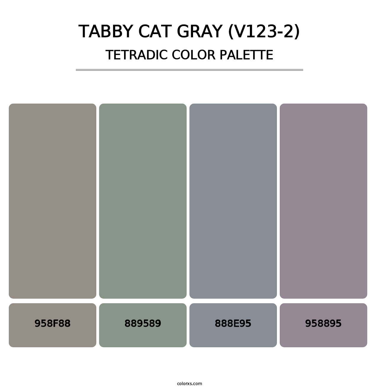 Tabby Cat Gray (V123-2) - Tetradic Color Palette