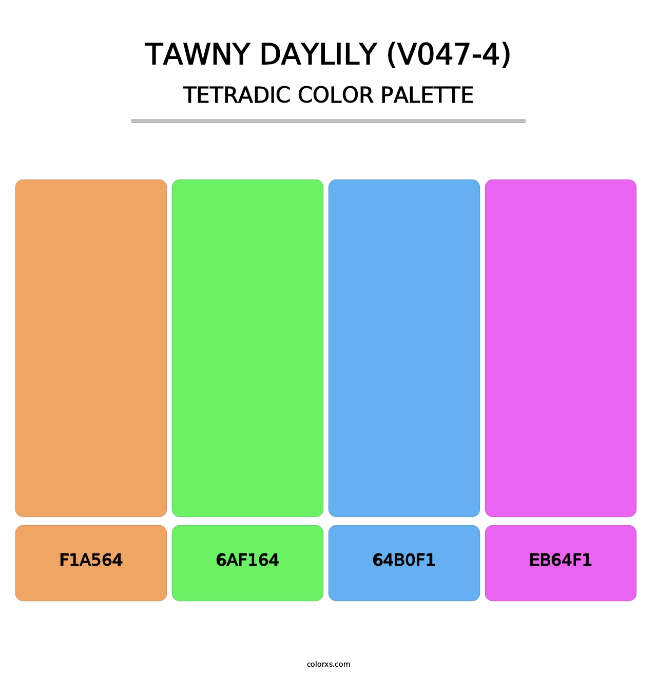 Tawny Daylily (V047-4) - Tetradic Color Palette
