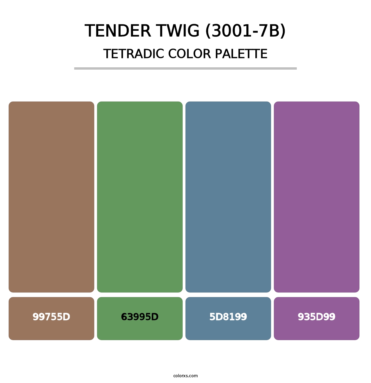 Tender Twig (3001-7B) - Tetradic Color Palette