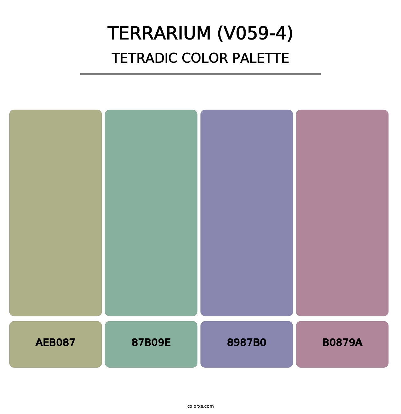 Terrarium (V059-4) - Tetradic Color Palette