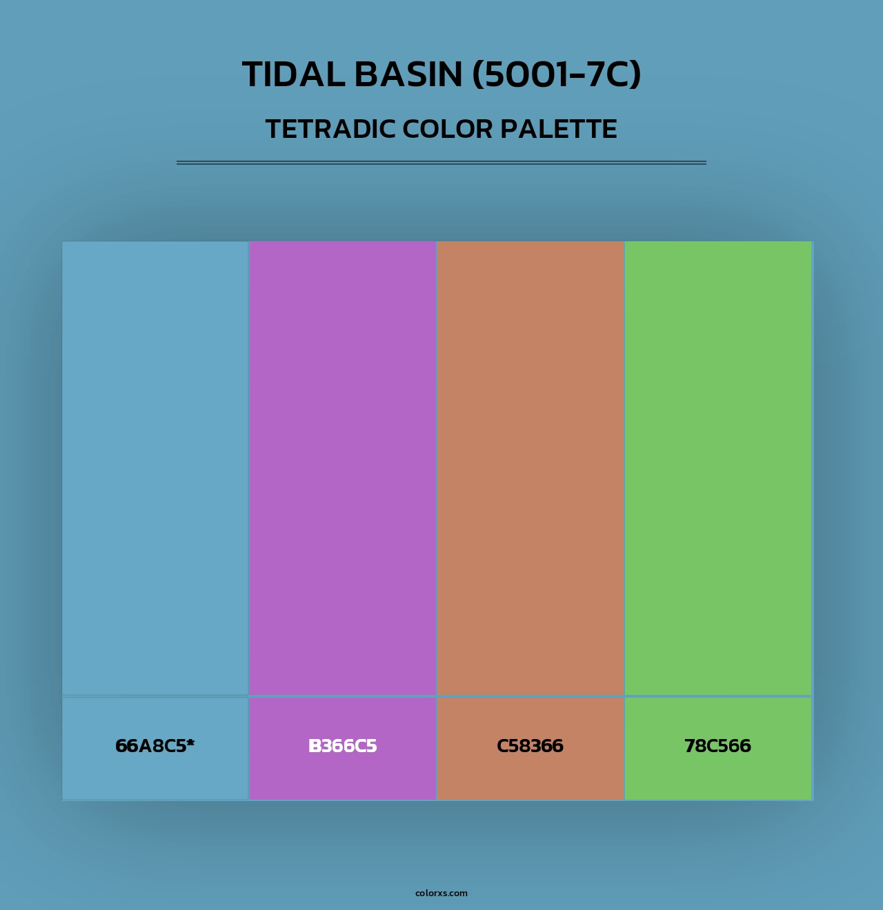 Tidal Basin (5001-7C) - Tetradic Color Palette