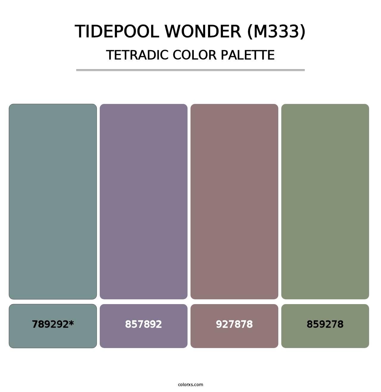 Tidepool Wonder (M333) - Tetradic Color Palette