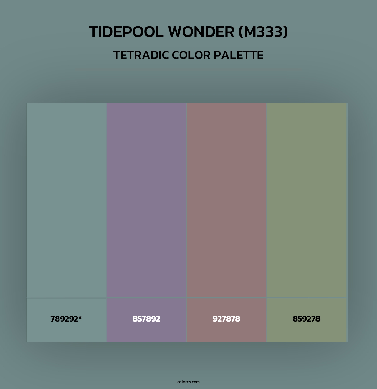 Tidepool Wonder (M333) - Tetradic Color Palette
