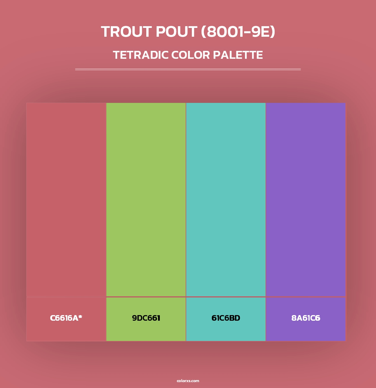 Trout Pout (8001-9E) - Tetradic Color Palette