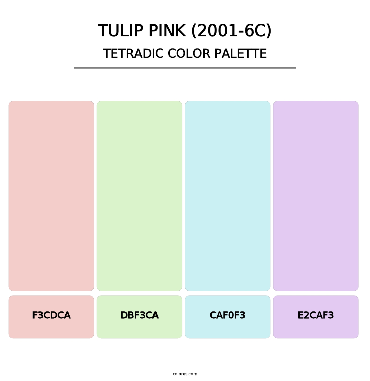 Tulip Pink (2001-6C) - Tetradic Color Palette