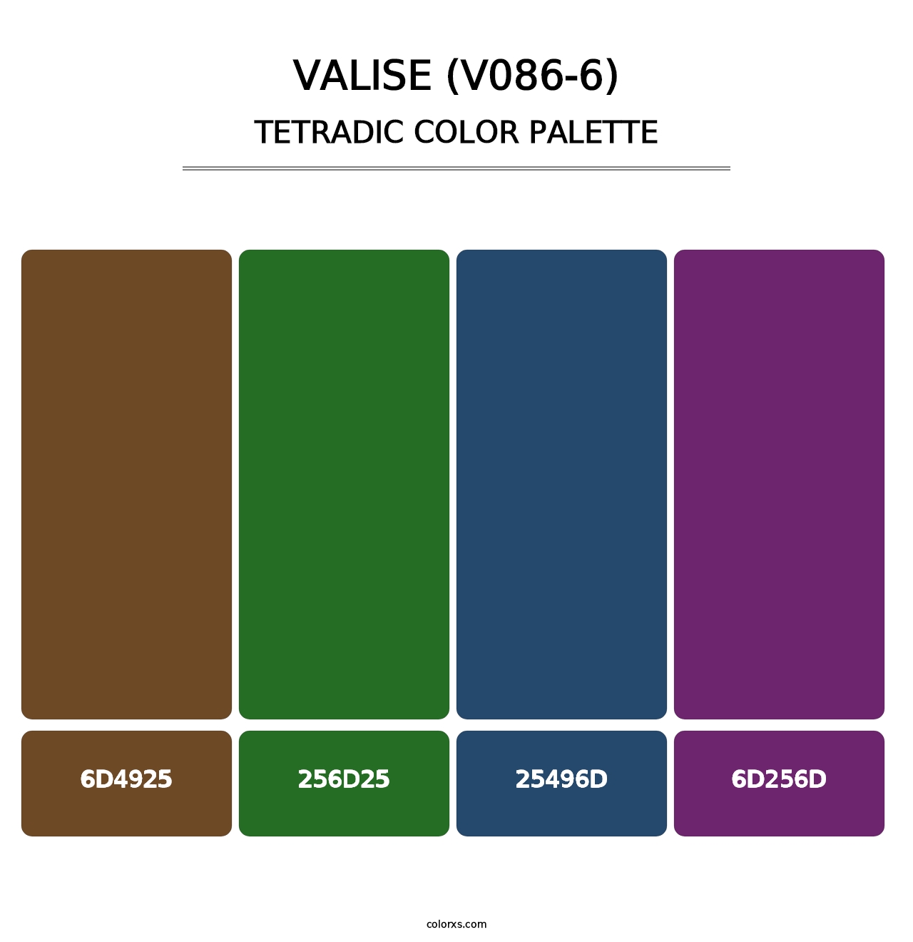Valise (V086-6) - Tetradic Color Palette