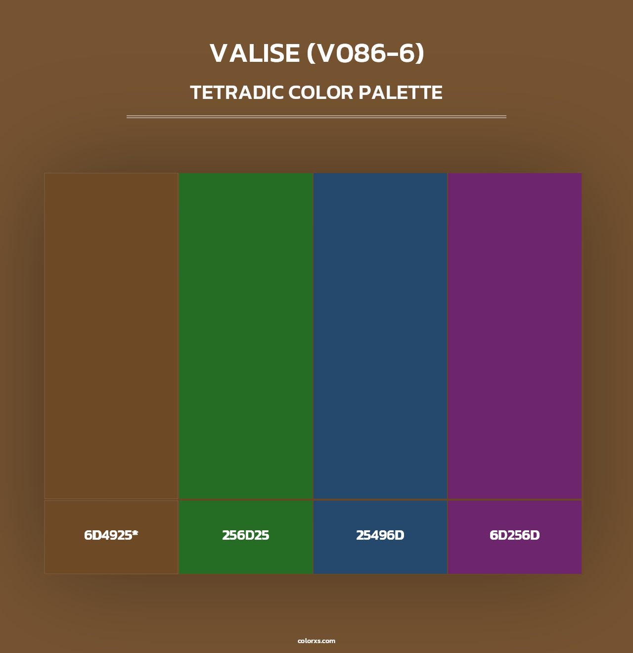 Valise (V086-6) - Tetradic Color Palette