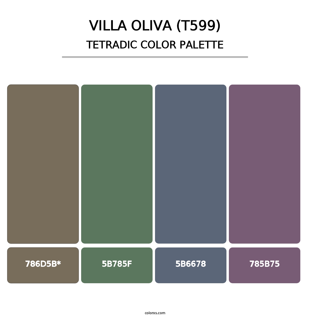 Villa Oliva (T599) - Tetradic Color Palette