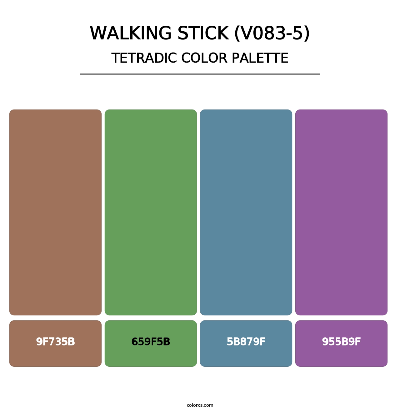 Walking Stick (V083-5) - Tetradic Color Palette