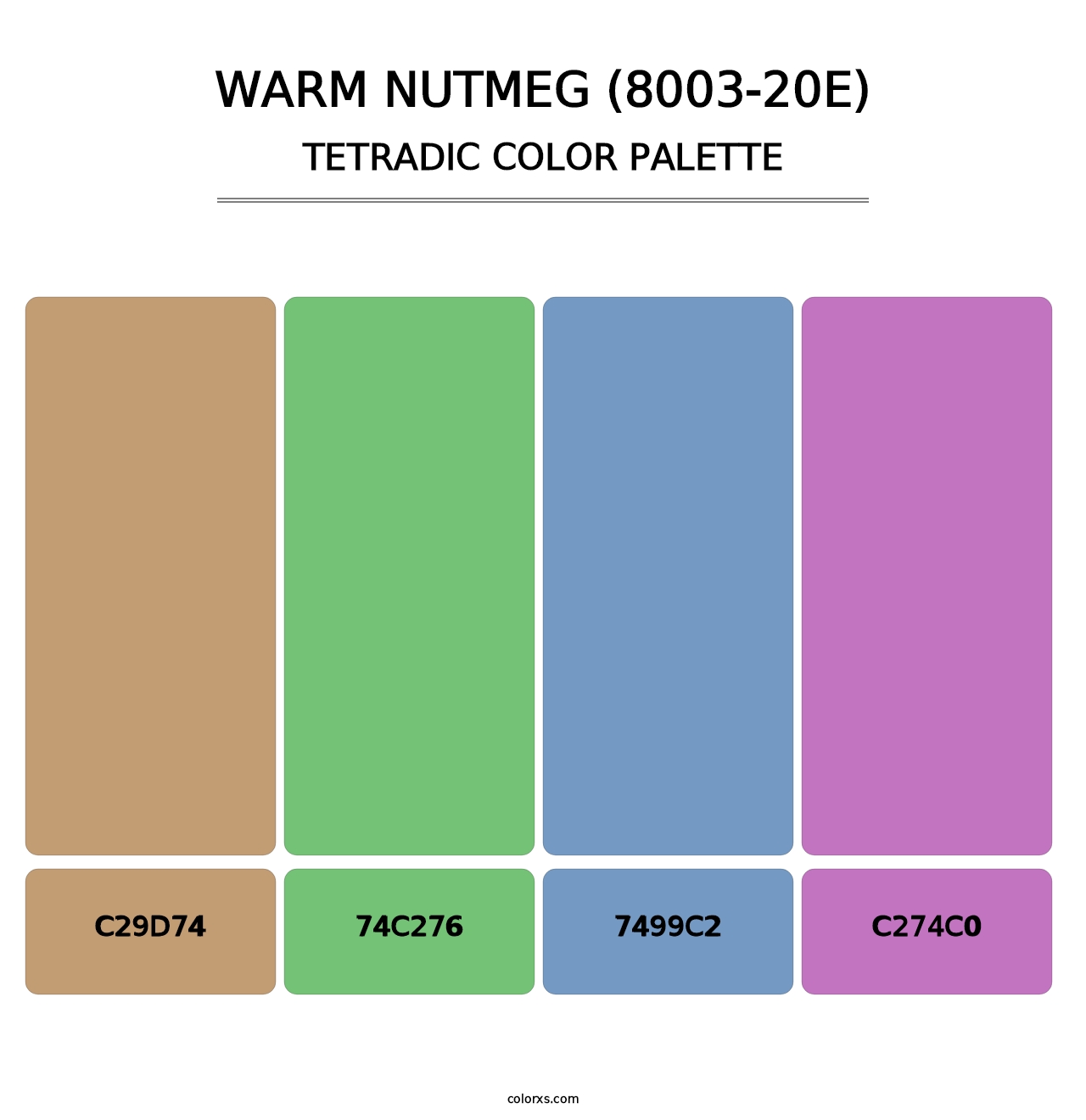 Warm Nutmeg (8003-20E) - Tetradic Color Palette