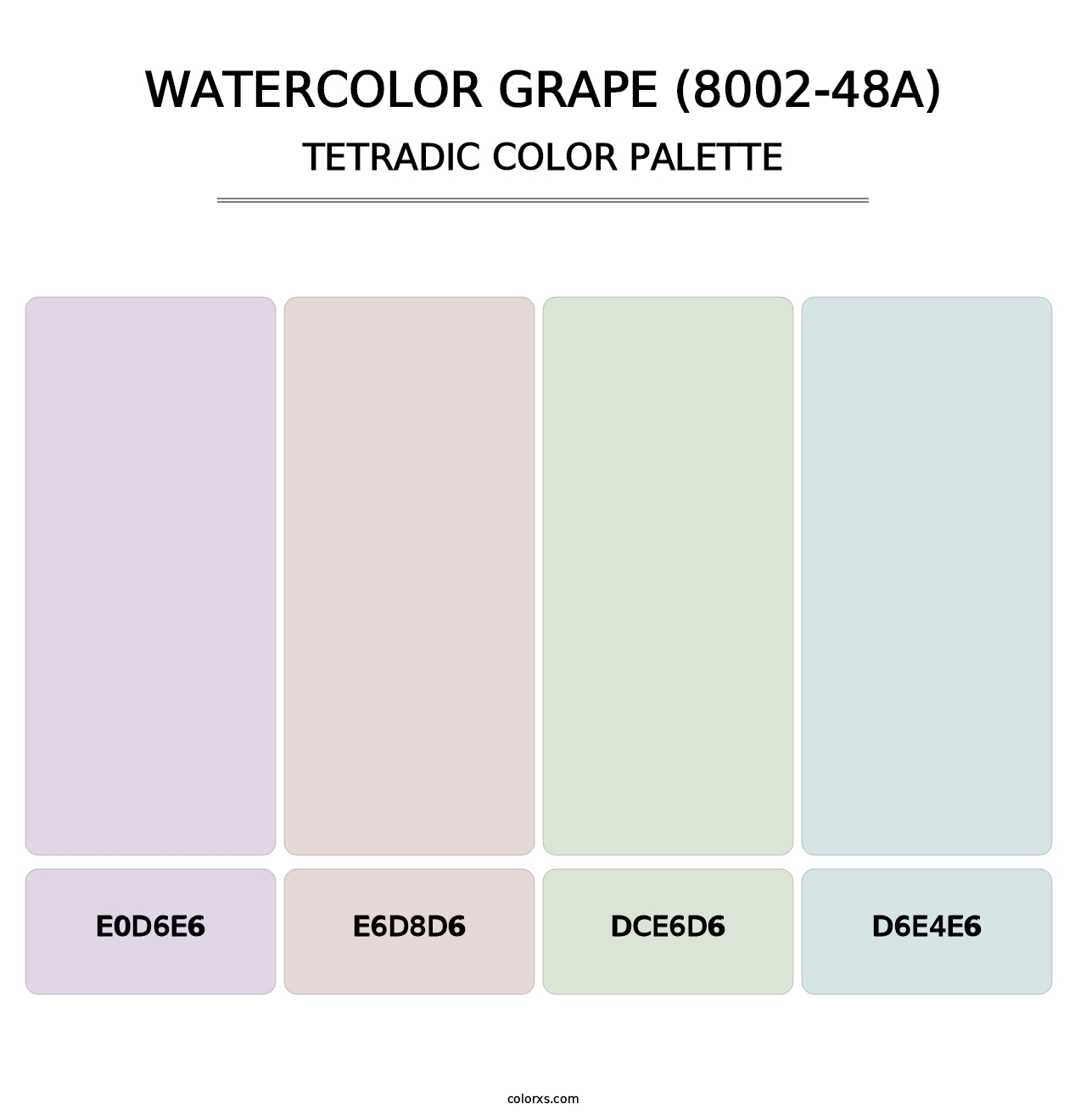 Watercolor Grape (8002-48A) - Tetradic Color Palette