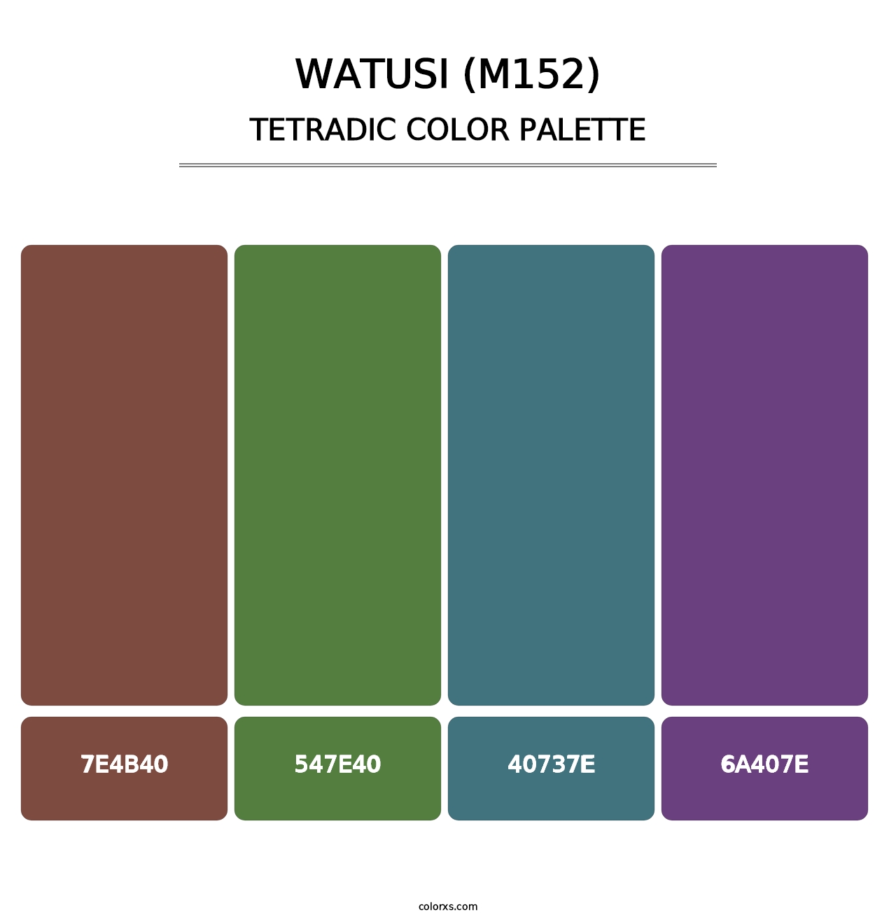 Watusi (M152) - Tetradic Color Palette